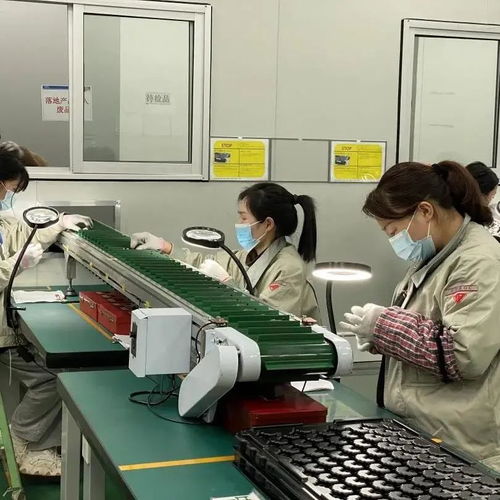 突破10億美元 東陽(yáng)這家企業(yè)自營(yíng)進(jìn)出口總額創(chuàng)新高